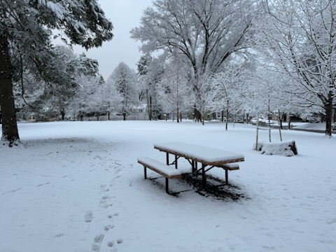 Umoja Park in Swarthmore on Saturday morning. (COURTESY OF STEPHANIE ENGSTRAND)