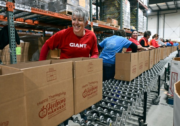 Kim O'Hara of Exeter Township, center store manager for the local Giant Company stores, packs boxes of food along with 20 other Giant employees Wednesday at Helping Harvest, 117 Morgan Drive, Spring Township. (BILL UHRICH -READING EAGLE)