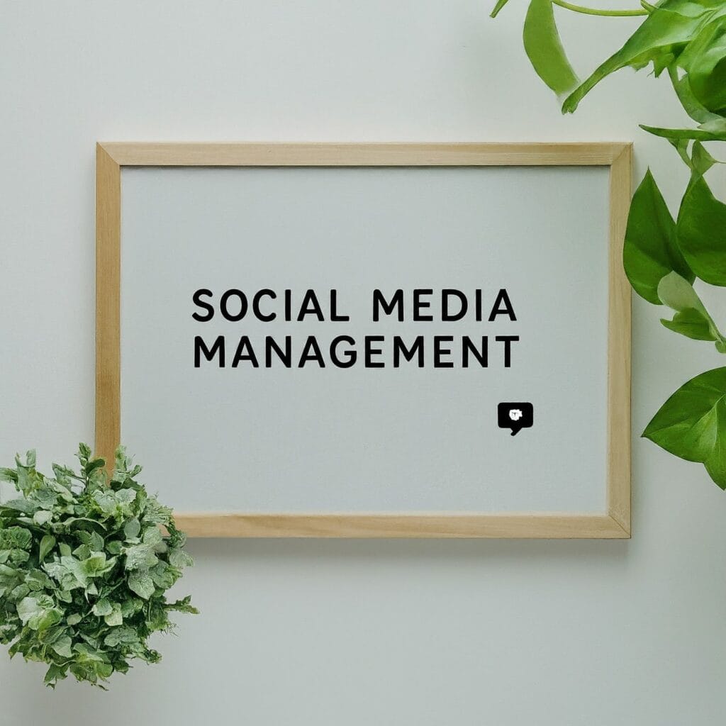 Viper Media - Social Media Management